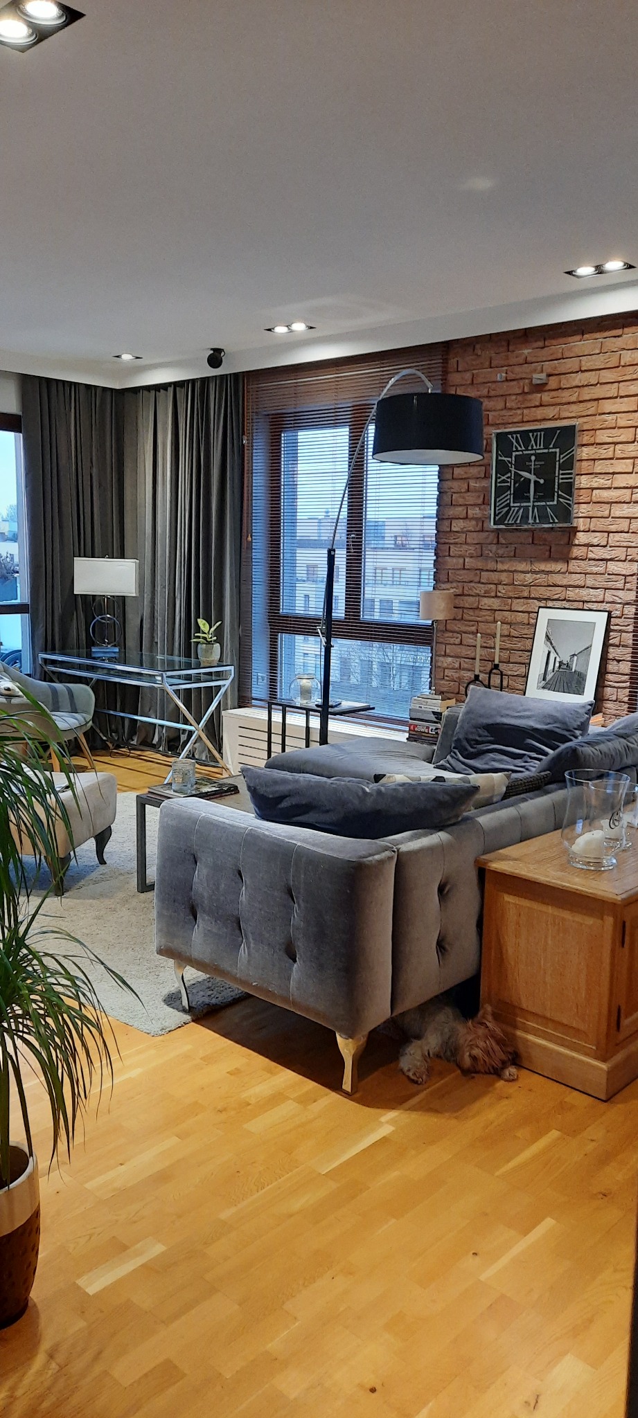 Loftowe wnętrze z ceglaną ścianą, szarą sofą i drewnianą podłogą. Pies śpi pod sofą. Widoczne okno z żaluzjami i dekoracje.