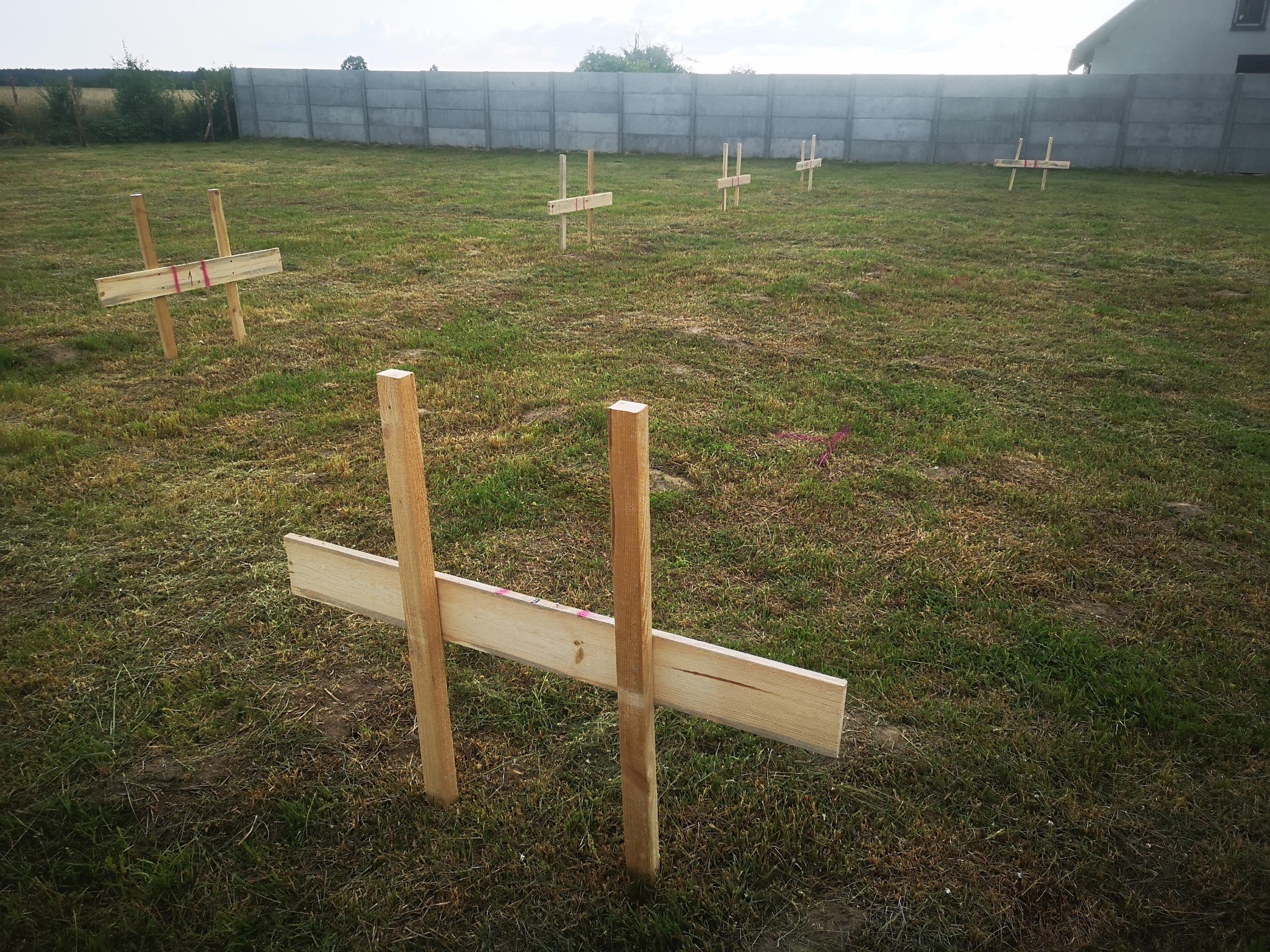 Wytyczanie działki: drewniane znaczniki w kształcie litery H na trawiastym terenie, w tle betonowe ogrodzenie i fragment budynku. Widok z bliska na pierwszy plan.