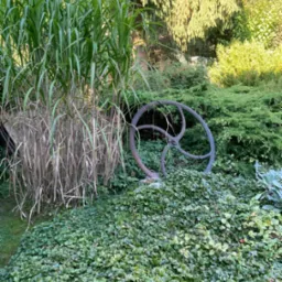 Ogród z ozdobną trawą, płożącą roślinnością i metalową dekoracją w kształcie koła, tworzącą rustykalny akcent w krajobrazie.
