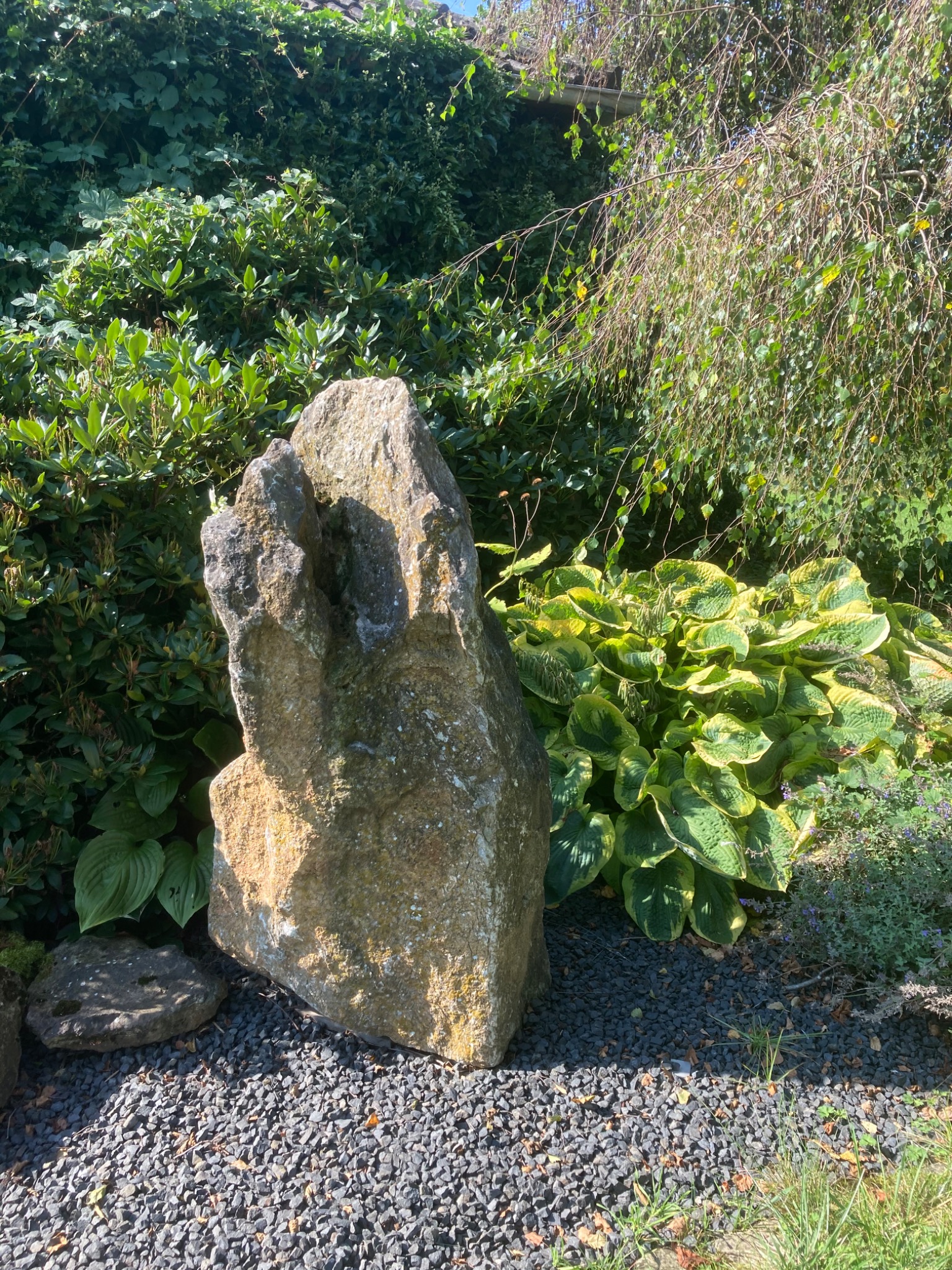 Ogród skalny z jasnym, nieregularnym kamieniem centralnym otoczonym zielenią, hostami i drobnym, ciemnym żwirem. W tle widoczne krzewy i gałęzie drzewa.