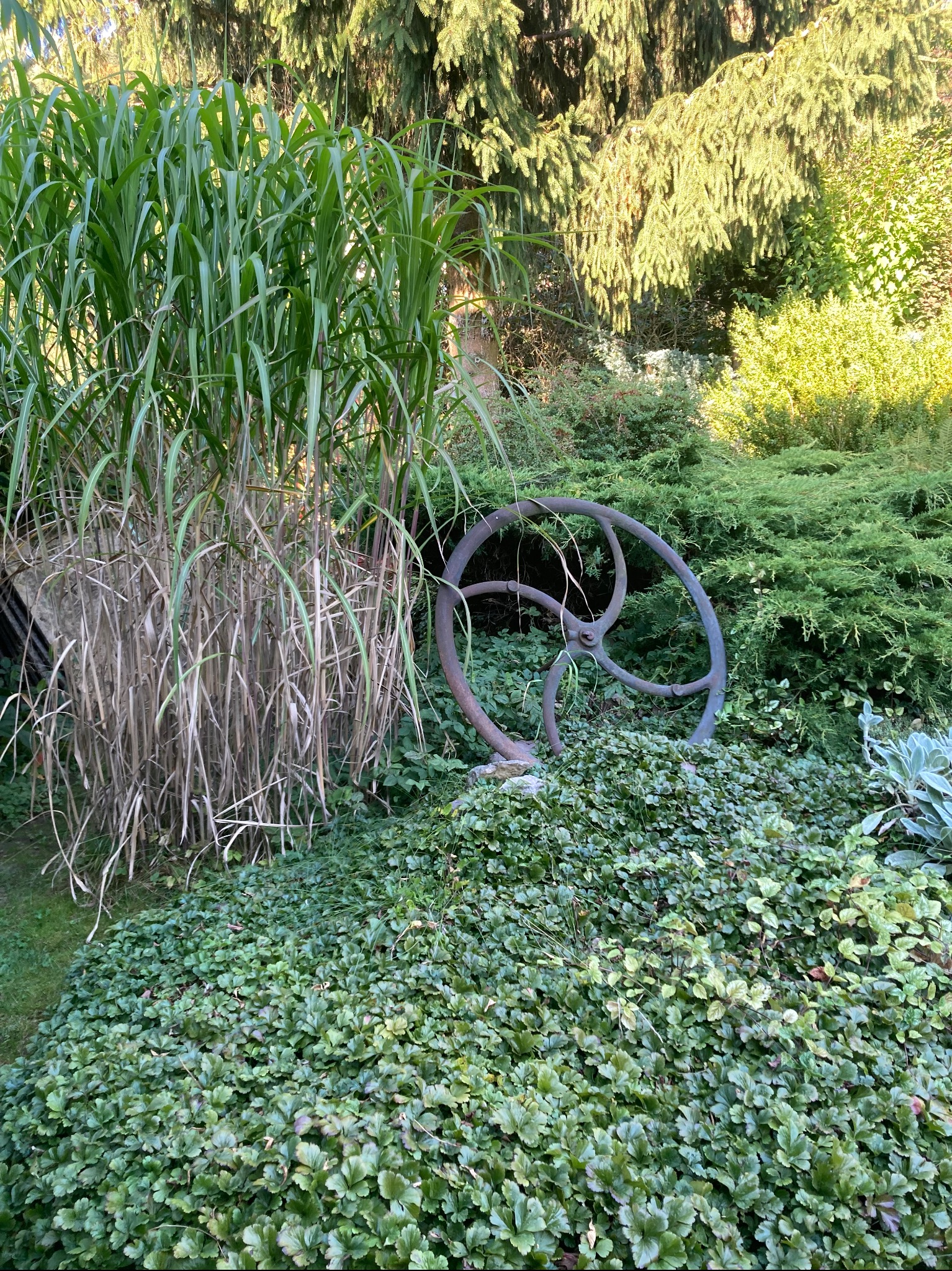 Ogród z ozdobną trawą, płożącą roślinnością i metalową dekoracją w kształcie koła, tworzącą rustykalny akcent w krajobrazie.