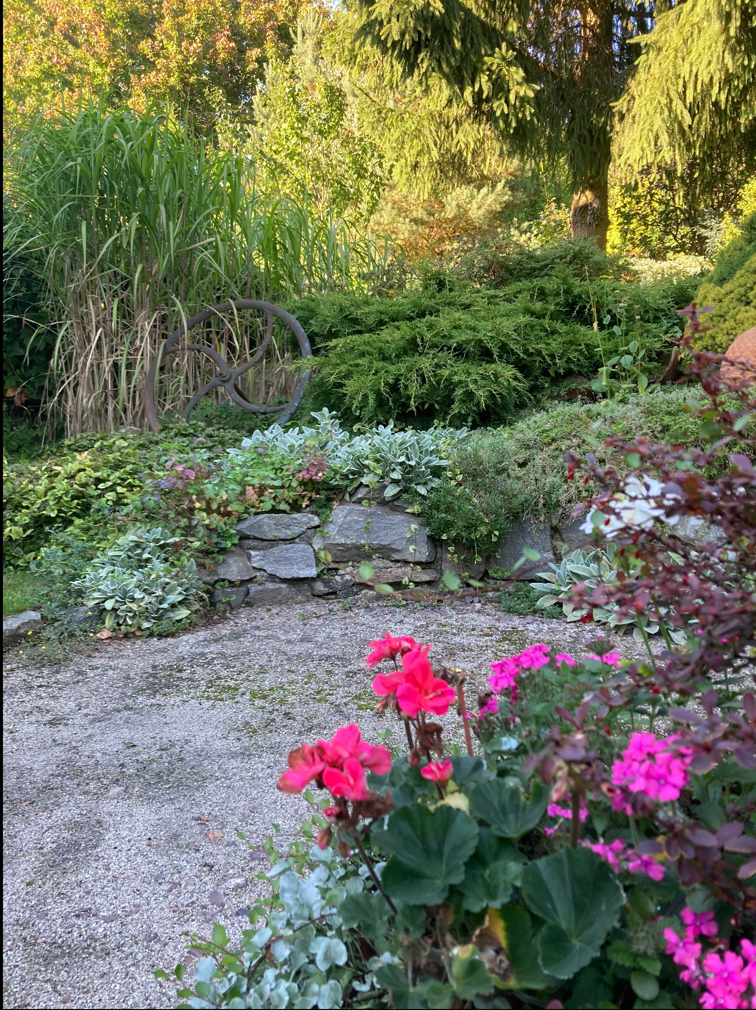 Ogród z kamiennym murkiem, ozdobną roślinnością i elementami dekoracyjnymi, takimi jak stare koło od wozu. Ujęcie z bliska na kwiaty w pierwszym planie.