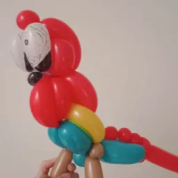 Figurka papugi z modelowanych balonów, trzymana w dłoni. Czerwono-niebiesko-żółta kolorystyka. Biała głowa z czarnym rysunkiem imitującym pióra.