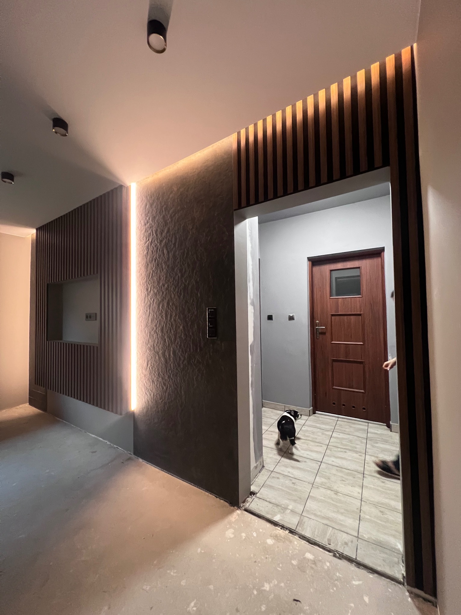 Nowoczesne wykończenie wnętrza: ściana z lamelami i podświetleniem LED, drewniane wykończenie nad drzwiami, widoczny fragment drzwi i podłogi. Pies w tle.