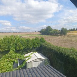 PLWORK SPÓŁKA Z OGRANICZONĄ ODPOWIEDZIALNOŚCIĄ - Widok z okna na ogród z równo przyciętym żywopłotem, pole i niebo z chmurami. Na pierwszym planie dach i winorośl. Perspektywa z góry, przez siatkę w oknie.