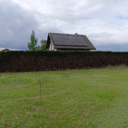 Przycinanie drzew Ruda Śląska 3