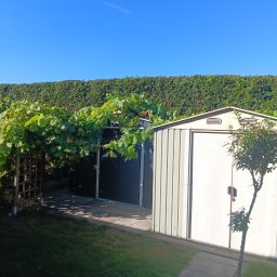 Przycinanie drzew Ruda Śląska 2