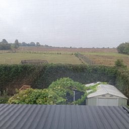 Przycinanie drzew Ruda Śląska 1