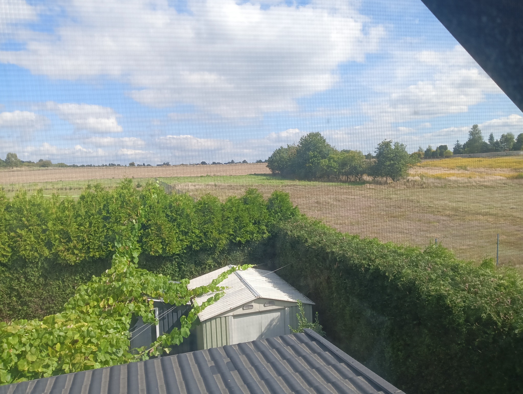 Widok z okna na ogród z równo przyciętym żywopłotem, pole i niebo z chmurami. Na pierwszym planie dach i winorośl. Perspektywa z góry, przez siatkę w oknie.