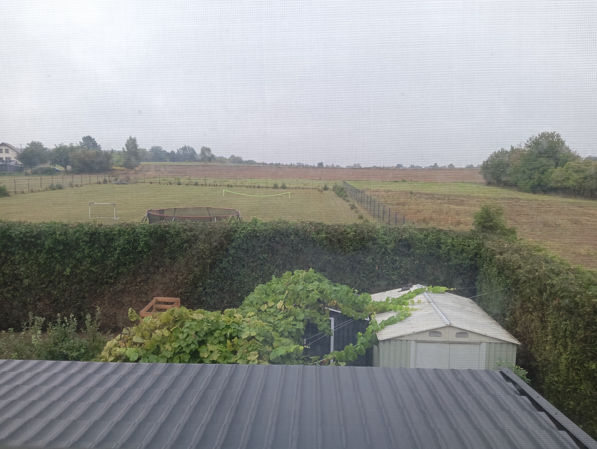 Widok z okna na ogród z trampoliną i boiskiem, przysłonięty żywopłotem i zaroślami. W tle pole. Pochmurny dzień.