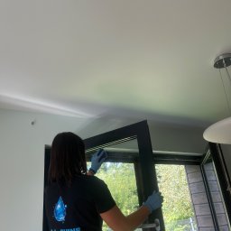 S.A.L. Shine - Osoba w niebieskich rękawicach czyści okno od wewnątrz, widoczny fragment ogrodu za oknem i logo firmy sprzątającej na koszulce pracownika.