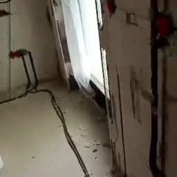 Projektant instalacji elektrycznych Milicz