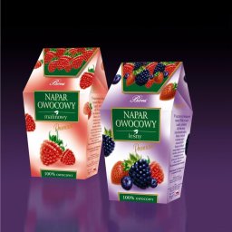 Tworzenie stron internetowych Annopol 4