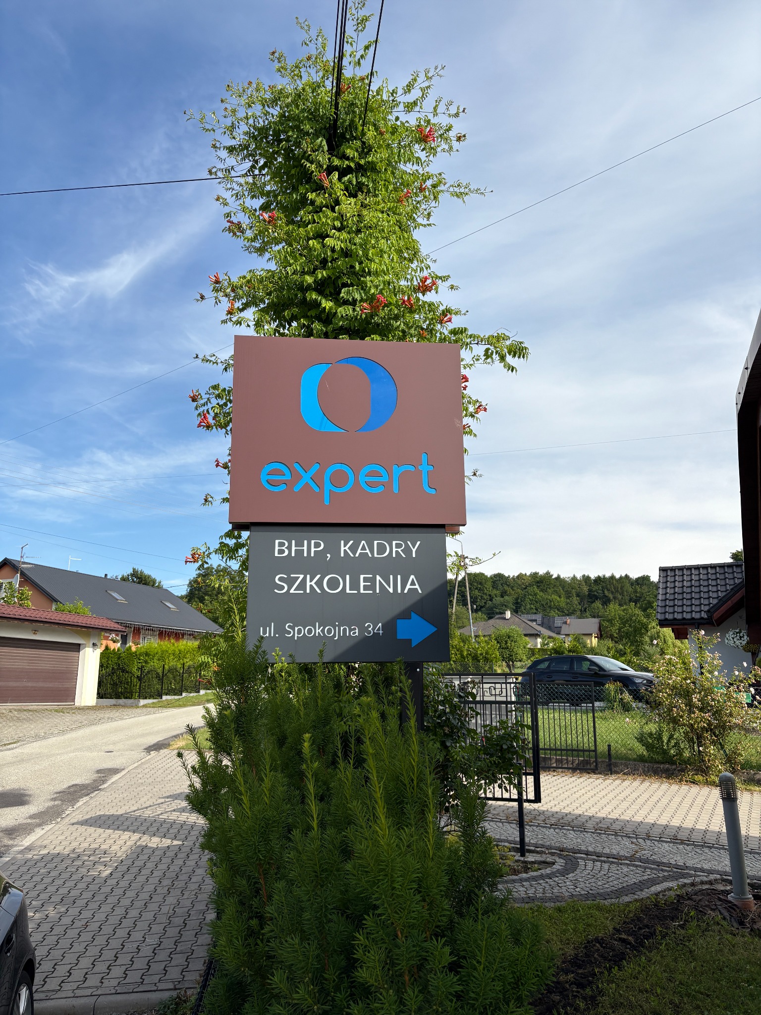 Tablica informacyjna firmy Expert z ofertą BHP, kadr i szkoleń, umieszczona przy ulicy Spokojnej 34, częściowo przysłonięta przez kwitnące pnącze.
