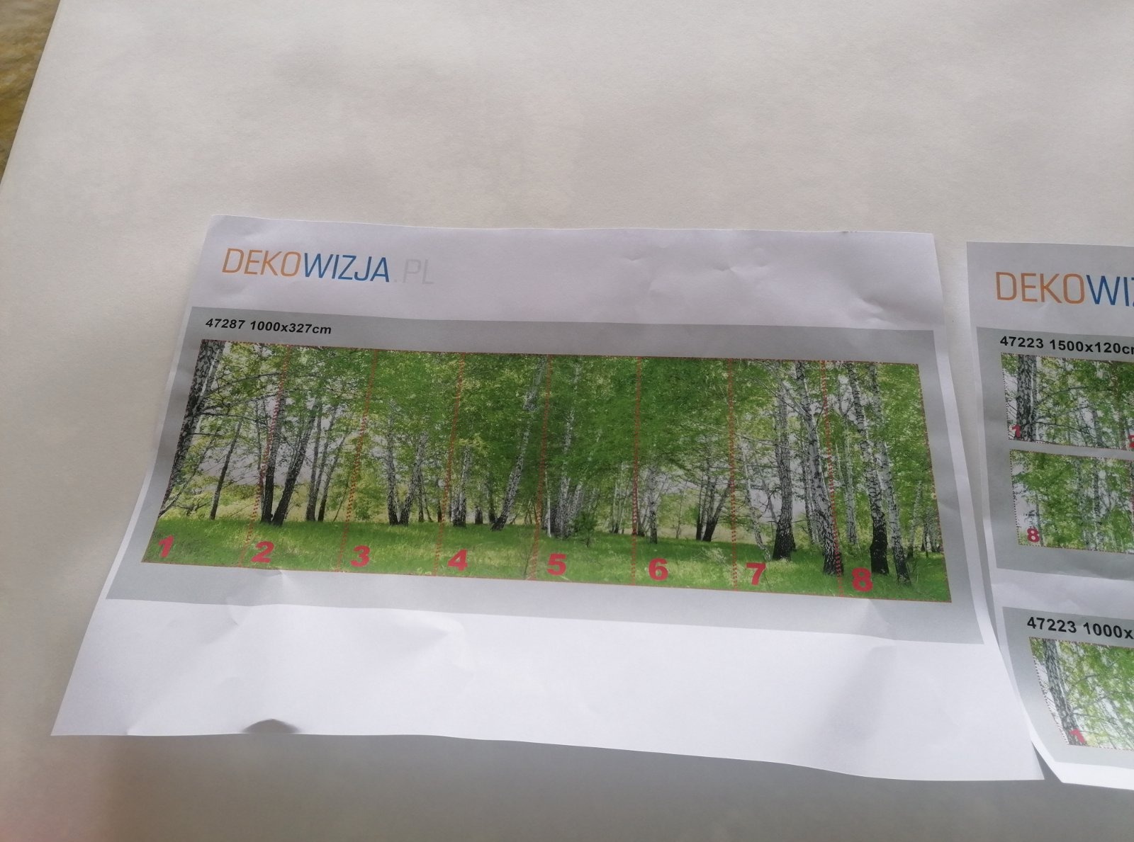 Wydruk z wzorami fototapet z motywem brzozowego lasu, ponumerowane sekcje, logo Dekowizja.pl. Wymiary 1000x327cm widoczne na wydruku.