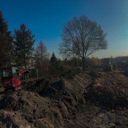 Dawid Dziuba - Czerwona mini koparka Yanmar przy wykopie ziemi na tle drzew i błękitnego nieba. W oddali widoczna większa koparka. Prace ziemne w toku.