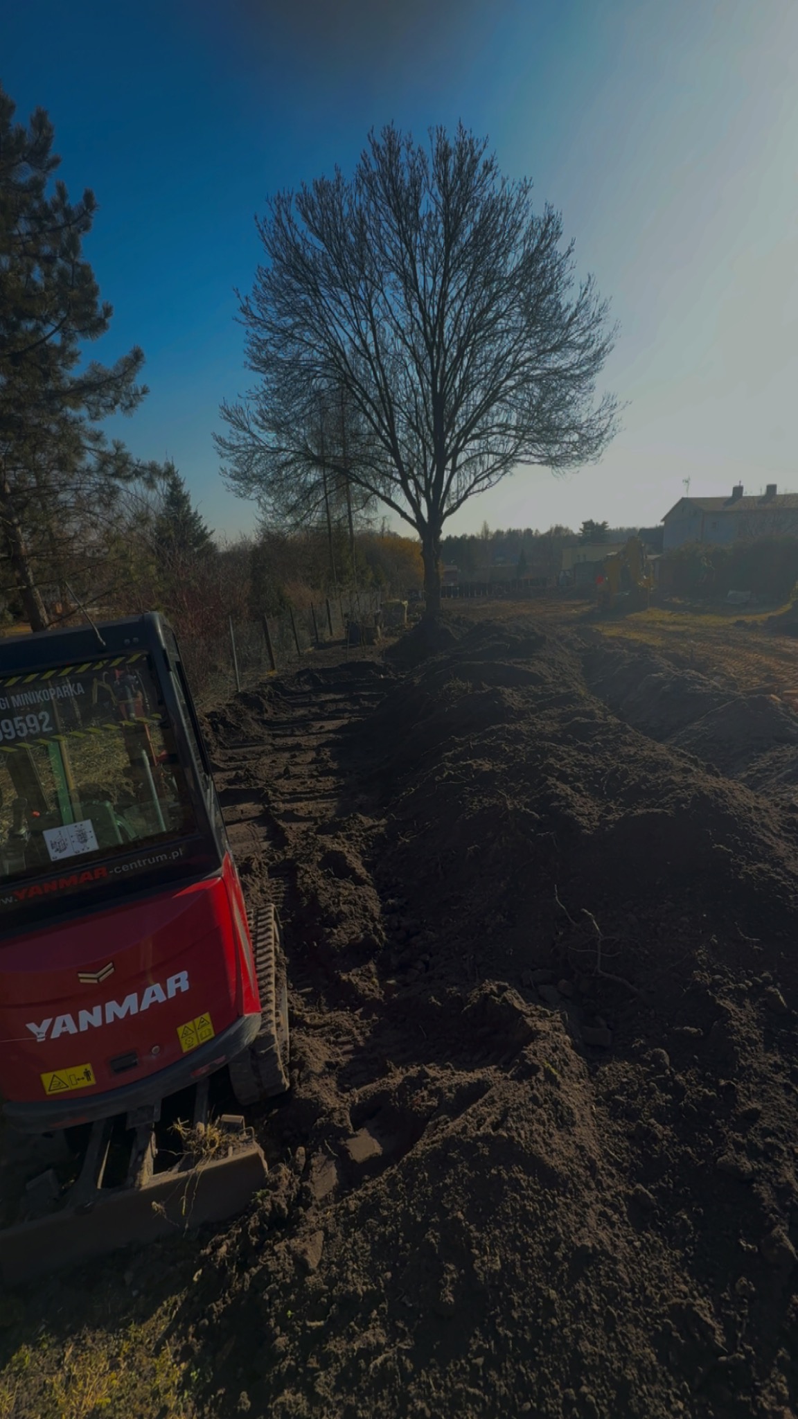 Czerwona mini koparka Yanmar na nierównym, ciemnym terenie z wykopami, w tle drzewo bez liści i błękitne niebo. Widok na plac budowy w słoneczny dzień.