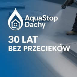 AEROFILM MATEUSZ WASILEWSKI - Dekarz Łomianki