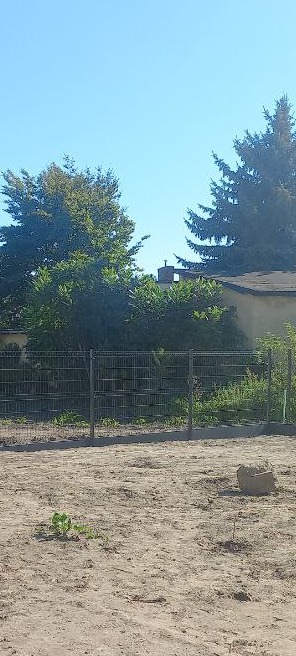 Szare ogrodzenie panelowe na tle zieleni i błękitnego nieba, widoczne z poziomu gruntu. Fragment budynku w tle.