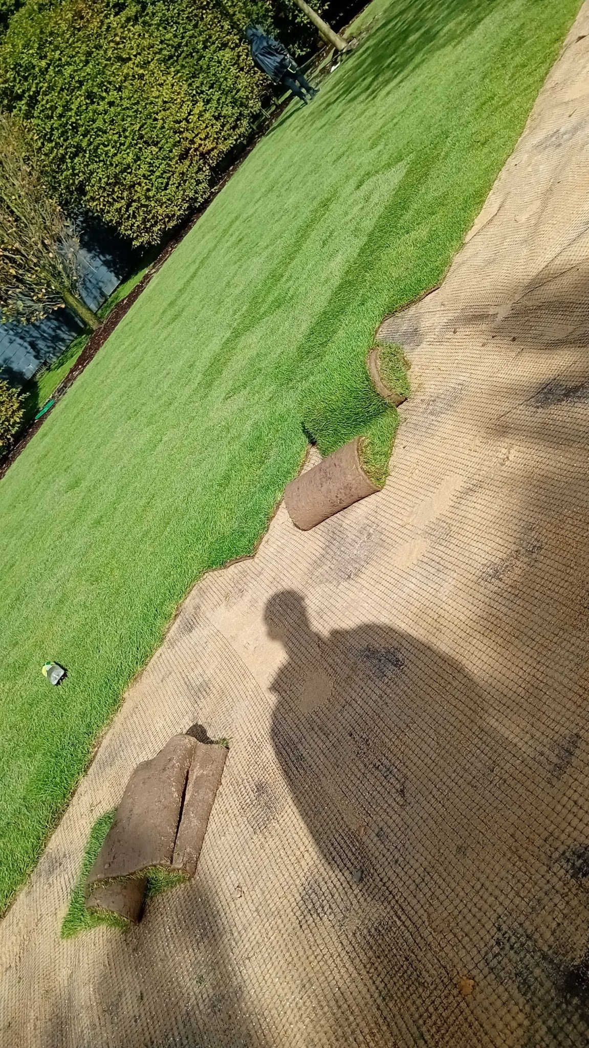 Układanie trawy z rolki w Rypinie. Widok z góry na fragment ułożonego trawnika i rolki trawy na siatce, cień osoby. Świeża zieleń trawy kontrastuje z brązowym podłożem.