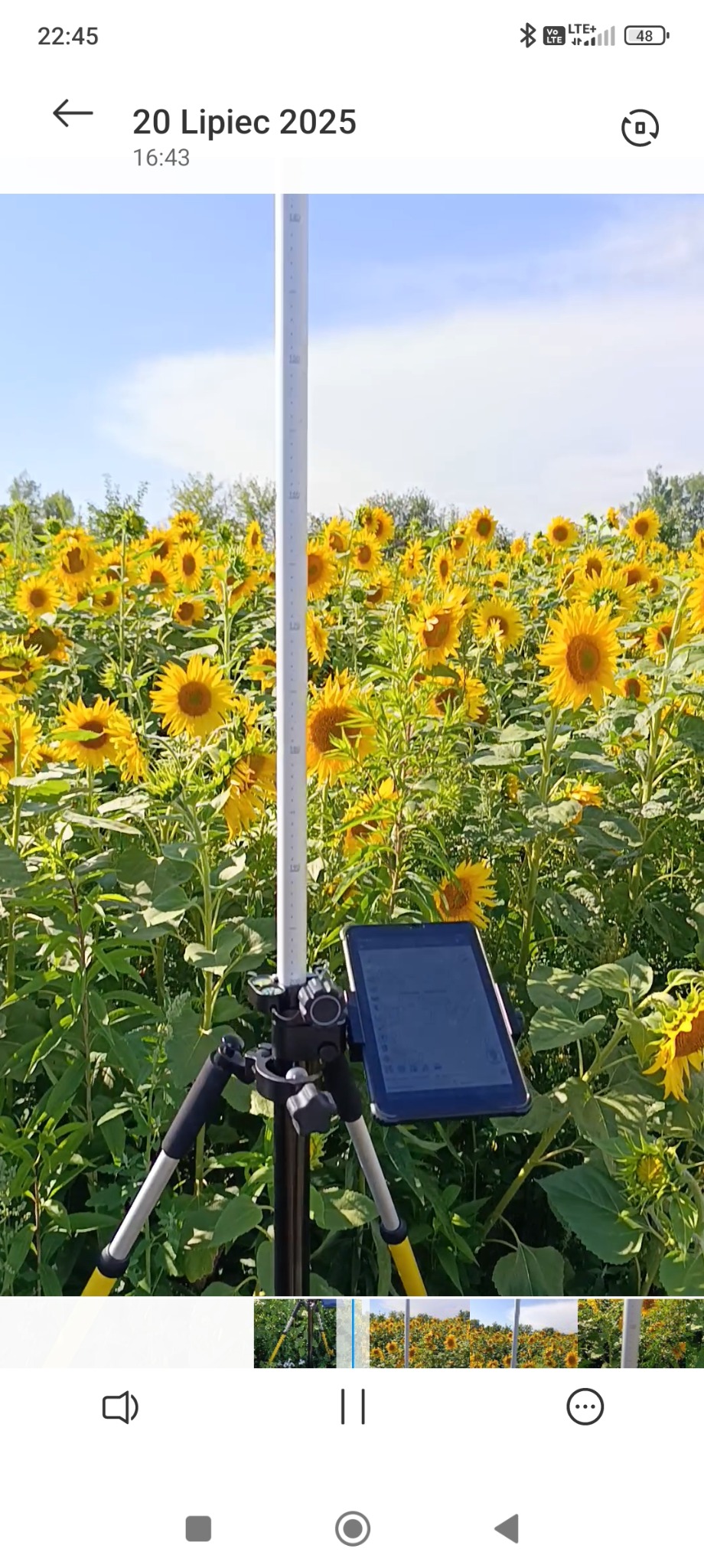 Pomiar w terenie: Łata niwelacyjna na statywie z tabletem na tle pola słoneczników w słoneczny dzień. Dokumentacja z pomiarów.