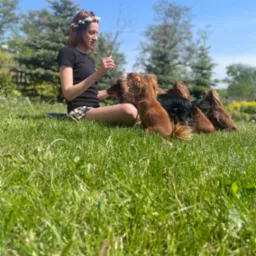 Kobieta w wianku siedzi na trawie z grupką psów rasy jamnik długowłosy, w słoneczny dzień. Psy patrzą na nią z zaciekawieniem.