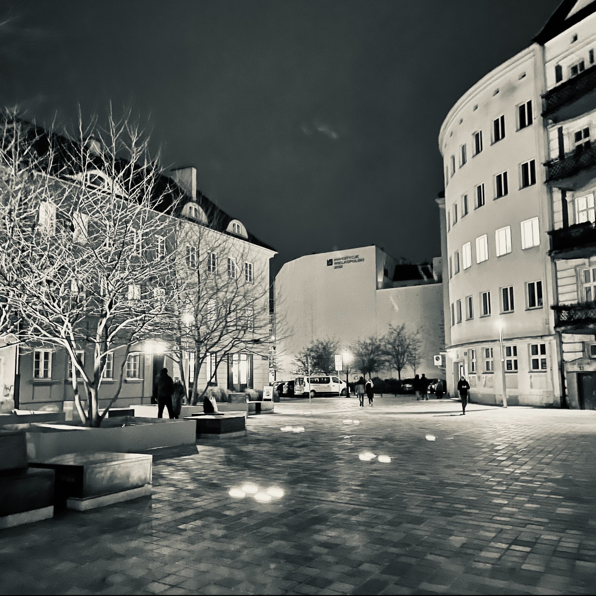 Nocna fotografia placu miejskiego w czerni i bieli, z budynkami w tle i drzewami bez liści na pierwszym planie. Widoczne odbicia świateł na mokrej nawierzchni.