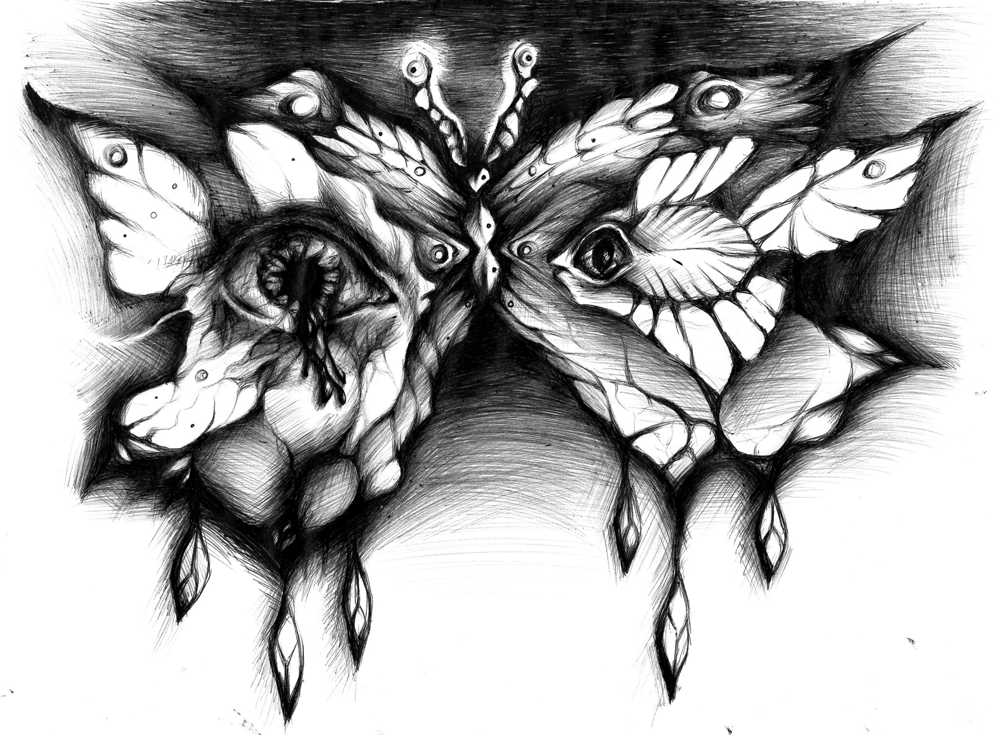 Mroczny rysunek motyla z elementami oka i postaci w centrum, wykonany w technice kreskowania, czarno-biały, o specyficznym, niepokojącym charakterze.