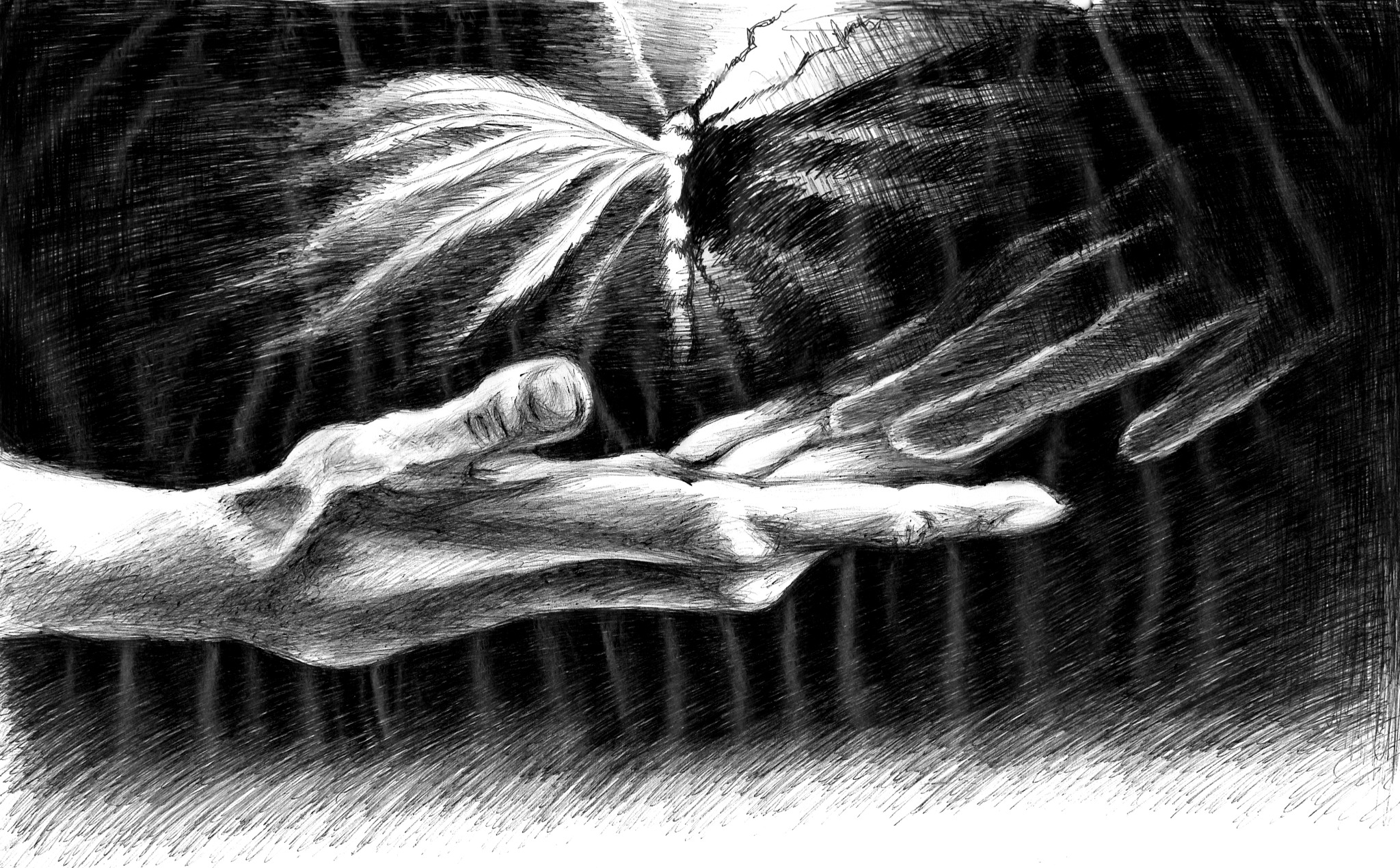 Czarno-biały rysunek przedstawia dwie dłonie, z których jedna wyciąga się ku drugiej, a nad nimi unosi się abstrakcyjny kształt przypominający skrzydła lub pióra.