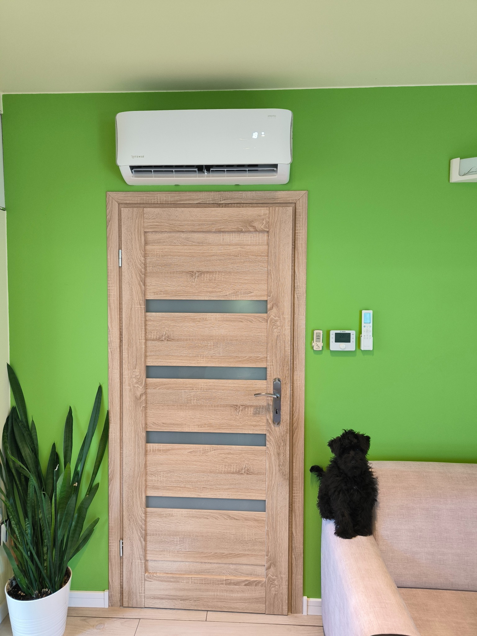 Rotenso Imoto Grzanie do -22°C. SEER: 8.5 SCOP 4.6 Zdjęcie wstawione za zgodą klienta oraz jego psa.