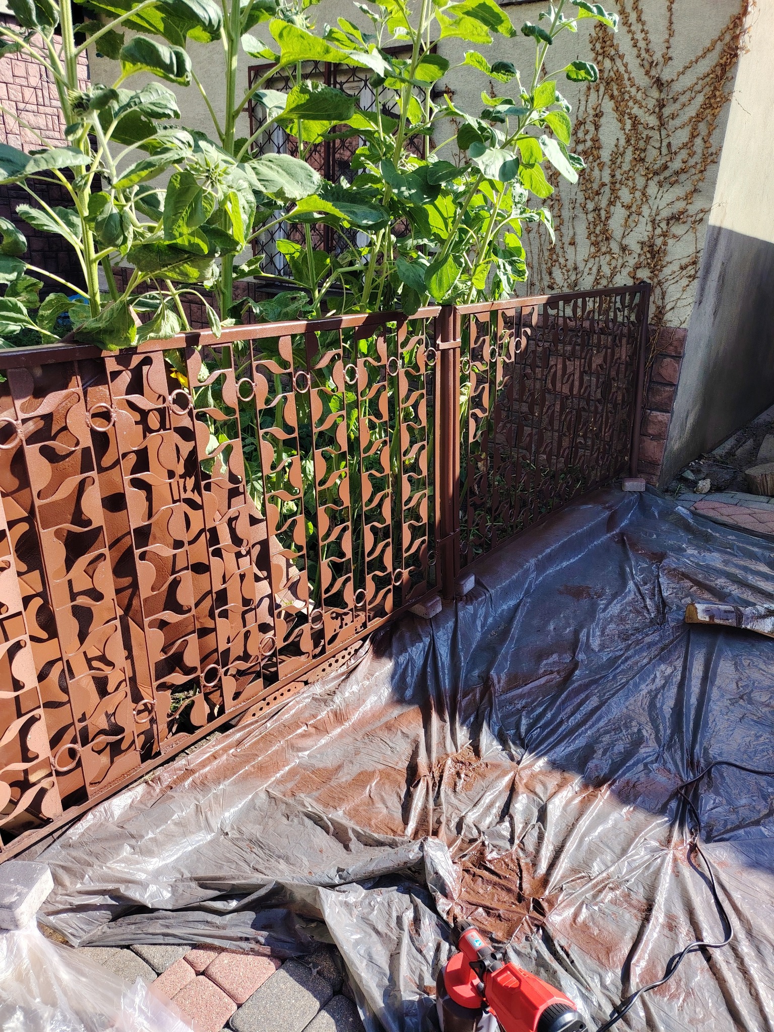 Malowanie ozdobnego, metalowego ogrodzenia na brązowo. Widoczny pistolet do malowania, folia ochronna na kostce brukowej i roślinność w tle. Nietypowy wzór ogrodzenia.