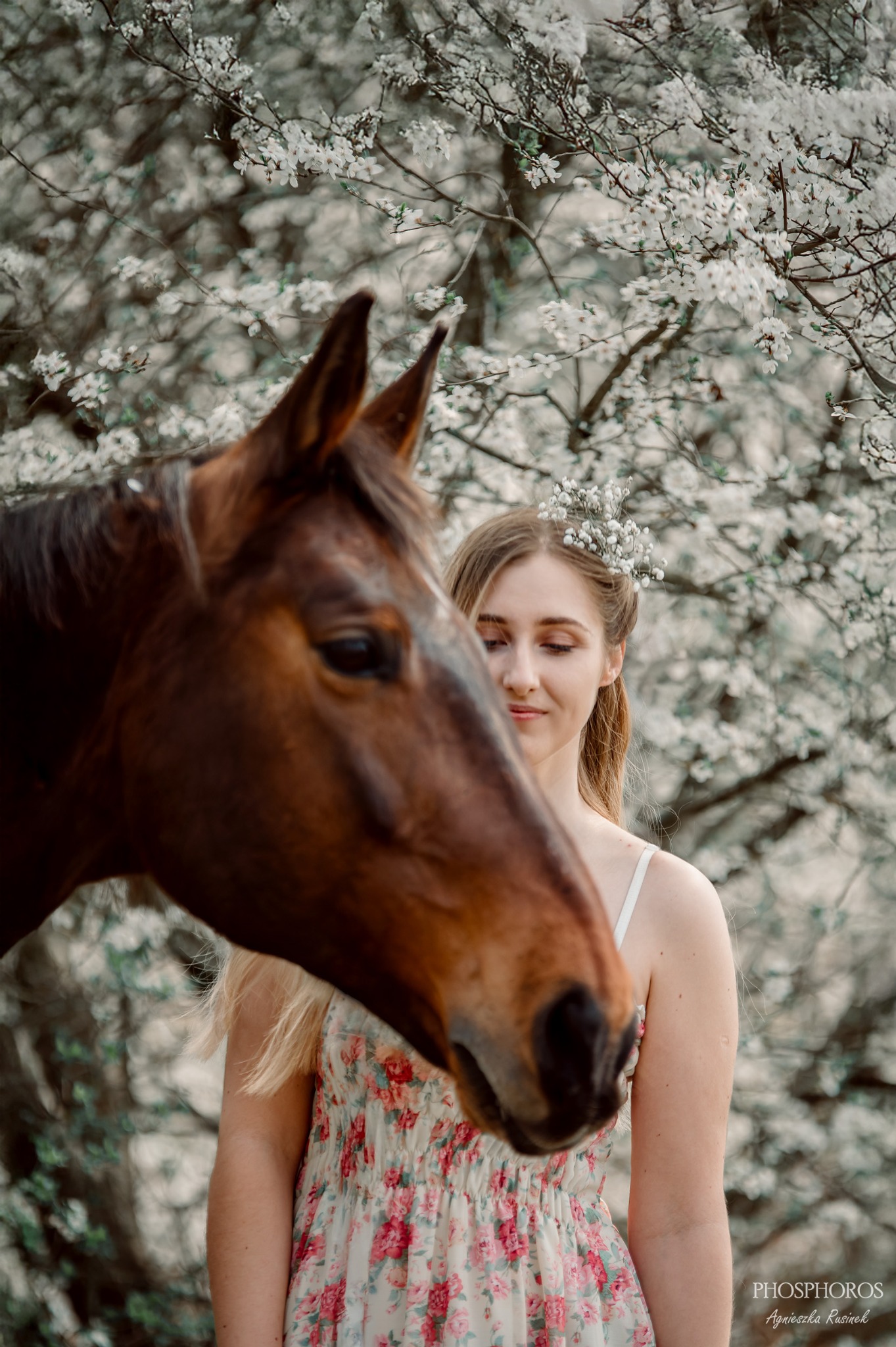 Romantyczna sesja: blondynka w kwiecistej sukience i wianku pozuje z koniem na tle kwitnącego drzewa.