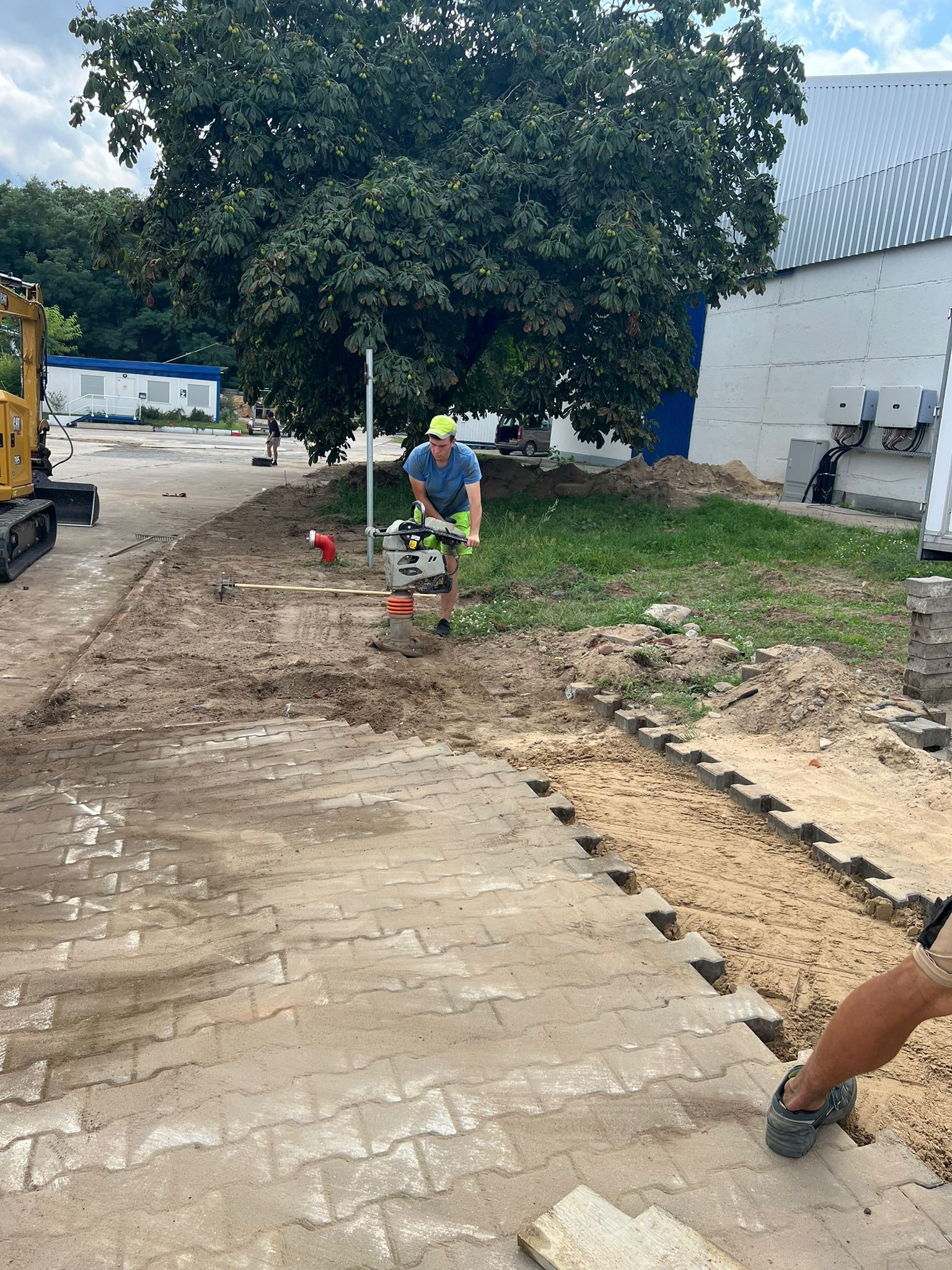 Pracownik ubija piasek zagęszczarką skoczkową przed ułożeniem kostki brukowej. Częściowo ułożona kostka, piasek, maszyna budowlana, drzewo w tle.