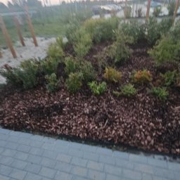 PPHU ARTEK ARTUR NOWAKOWSKI - Kaskadowa rabata z krzewami i korą na tle kostki brukowej. Elementy małej architektury w tle. Rozmyte ujęcie, widoczne efekty zmierzchu.