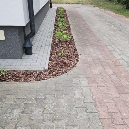 PPHU ARTEK ARTUR NOWAKOWSKI - Rabata z korą i młodymi roślinami wzdłuż ścieżki z kostki brukowej, Pomiechówek. Widok z góry, blisko budynku, w tle zieleń i budynek.