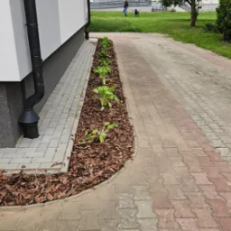 Rabata z roślinami i korą wzdłuż chodnika z kostki, obok budynku z rynną. W tle osoba z psem na trawniku.