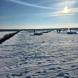 PPHU ARTEK ARTUR NOWAKOWSKI - Zakładanie trawnik&oacute;w Nowy Dw&oacute;r Mazowiecki