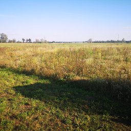 Clear360 Mateusz Domżała - Tanie Mycie Dachów w Nowym Dworze Mazowieckim