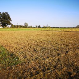 Koszenie trawy Nowy Dwór Mazowiecki 4