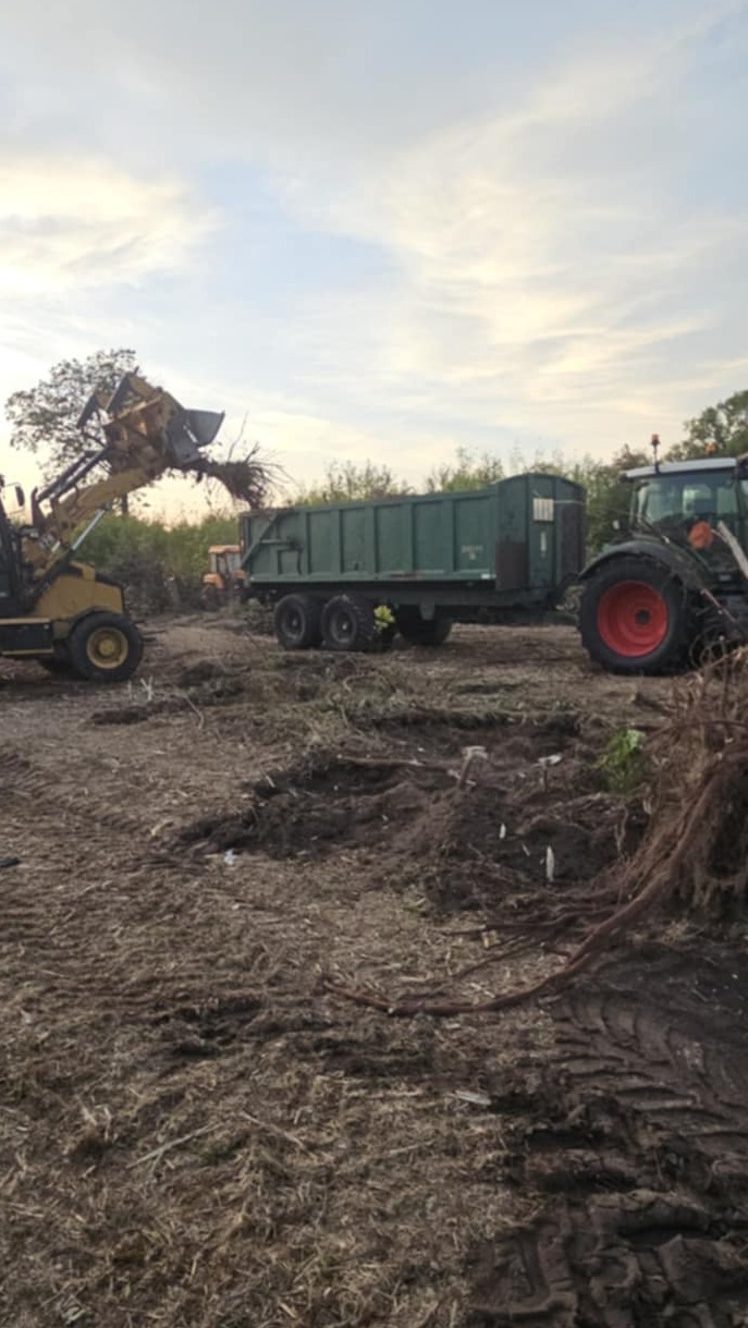 Porządkowanie działki