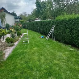 Michał Expert - Czyszczenie Kostki Brukowej Bielsko-Biała