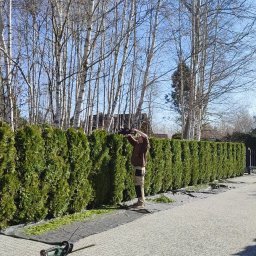 Przycinanie drzew Bielsko-Biała 1