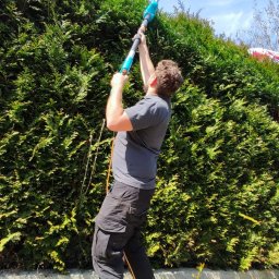 Przycinanie drzew Bielsko-Biała 2