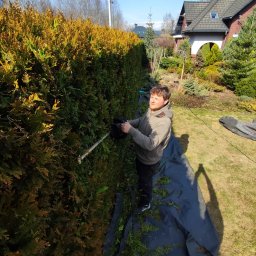 Michał Expert - Mężczyzna w bluzie przycina żywopłot z tui za pomocą elektrycznych nożyc. Na ziemi rozłożona czarna plandeka zbierająca ścięte gałązki. W tle dom i błękitne niebo.