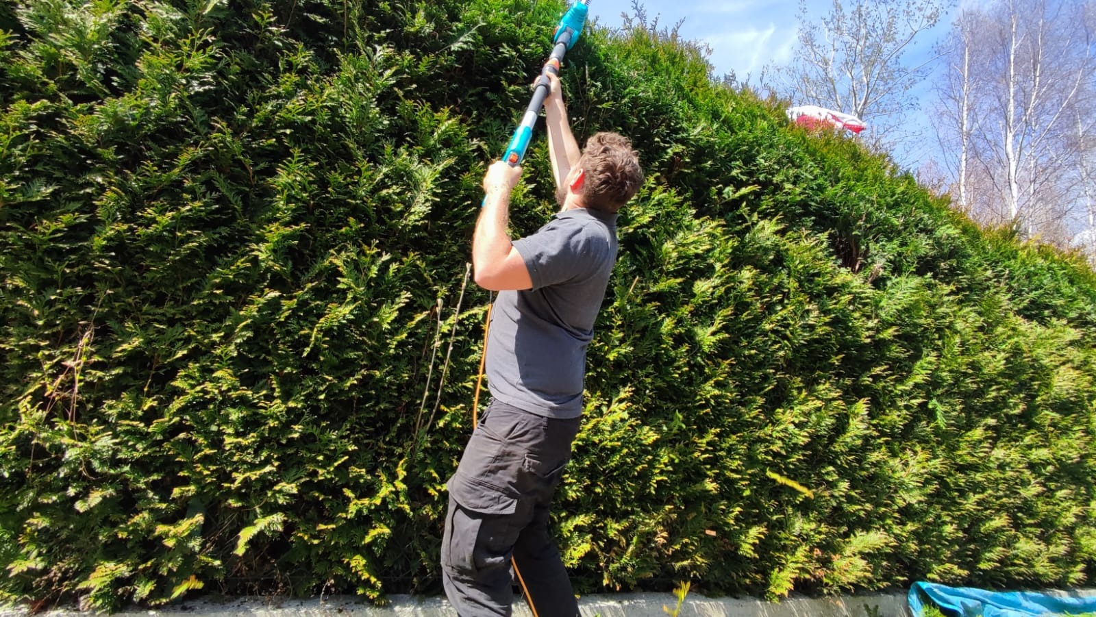 Mężczyzna przycina wysoki żywopłot elektrycznymi nożycami teleskopowymi. W tle widoczne drzewa i błękitne niebo. Słoneczny dzień.