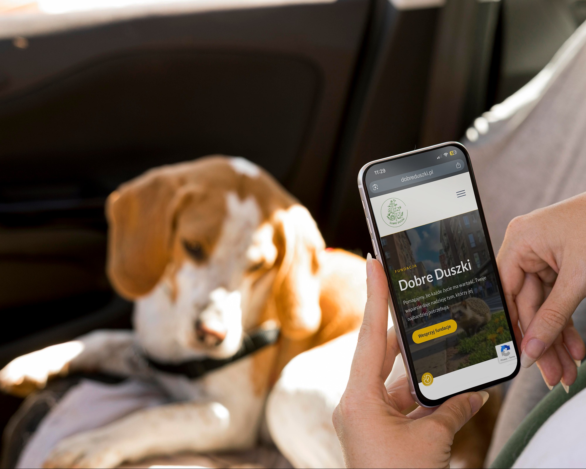 Osoba trzyma smartfon z otwartą stroną fundacji 'Dobre Duszki', w tle leży pies rasy beagle. Widok z wnętrza samochodu.
