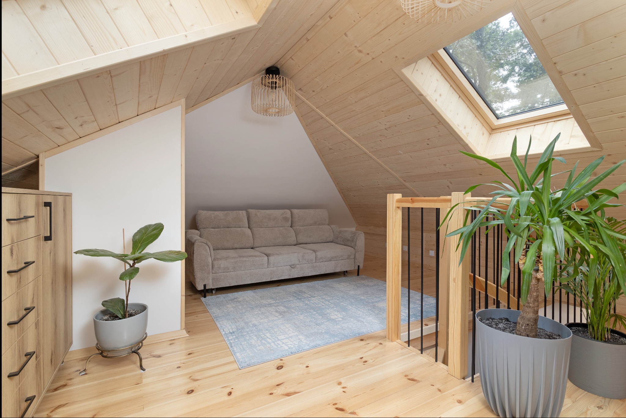 Jasne, drewniane poddasze z oknem dachowym, beżową sofą na błękitnym dywanie. Widoczne rośliny w donicach i komoda. Ujęcie z poziomu podłogi.