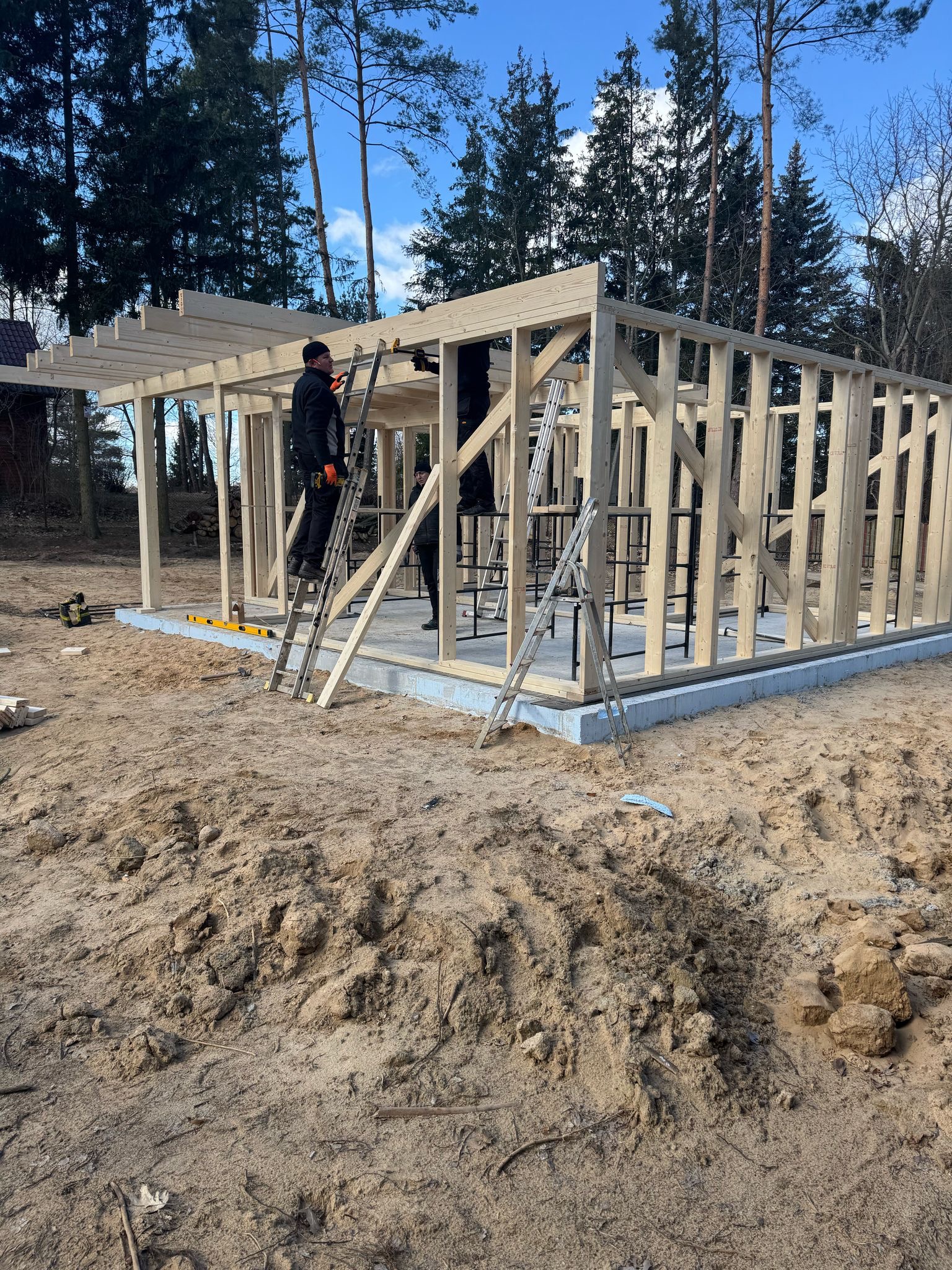 Wznoszenie drewnianej konstrukcji szkieletowej na fundamencie betonowym. Pracownicy na drabinach montują elementy. W tle las i niebo.