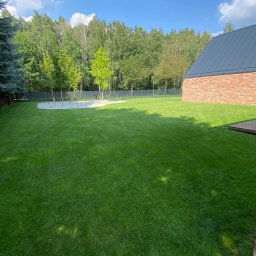 Zakładanie ogrodów Murowana Goślina 3