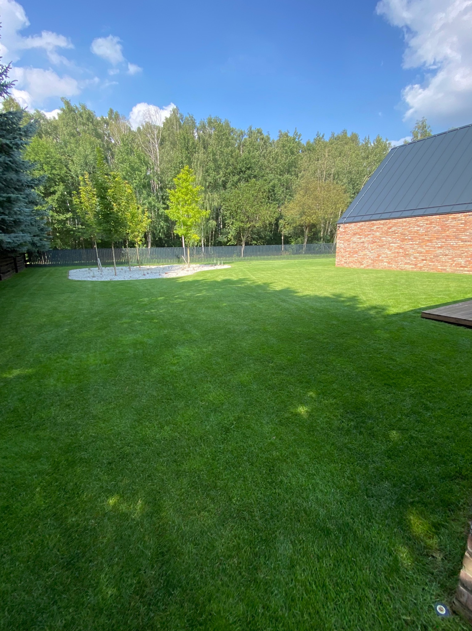 Zadbany trawnik z młodymi drzewkami otoczonymi białym żwirem, w tle ciemny płot i budynek z cegły pod błękitnym niebem z chmurami.